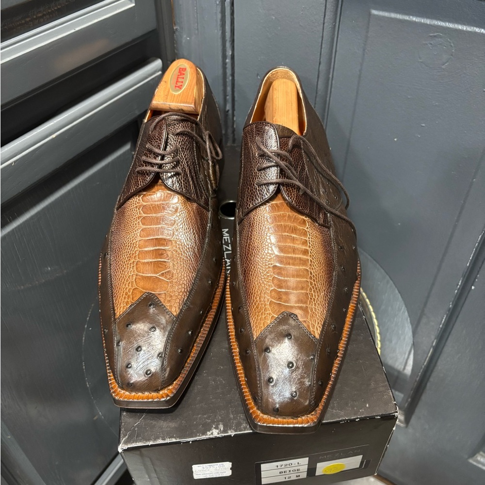 Mezlan Men's Platinum (Cedric) Genuine Dark Brown Ostrich/Rust, 12 Medium.